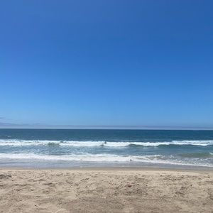 Meet your Posher, Casey